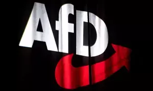 Germanys far-right AfD keeps second place in polls despite scandals