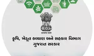Gujarat: Agriculture Dept launches special intensive verification campaign