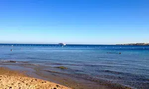 Houthis say they attacked 3 ships in Red Sea, Indian Ocean