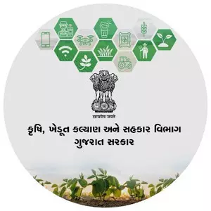 Gujarat: Agriculture Dept launches special intensive verification campaign