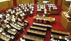 Odisha: 348 Assembly candidates face criminal charges Odisha: 348 Assembly candidates face criminal charges