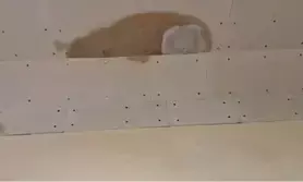 Shinde asks BMC to stop leakage in newly-opened Mumbai Coastal Road tunnel