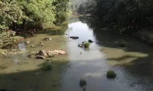 PRAWAH yet to decide on joint inspection of Mhadei, says Goa minister