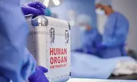 Kerala SIT in TN for joint probe in kidney racket