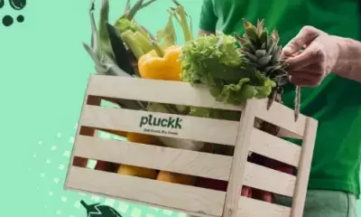 Pluckk clocks Rs 100 cr ARR, aims to double revenue in 12 months