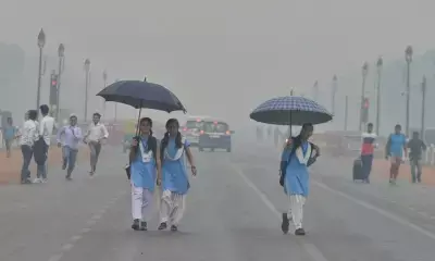 Drizzle in Delhi-NCR brings respite from heat