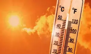 Delhi localitys 52.9 degrees C temperature reading likely due to error, IMD checking data