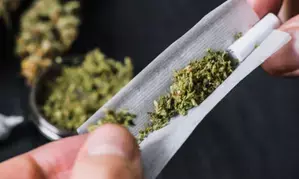 Drug mafia targeting educational institutes, affluent youth in Rajasthan