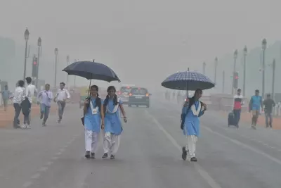 Drizzle in Delhi-NCR brings respite from heat