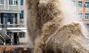 Typhoon Maliksi wanes upon landing in China