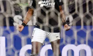 Botafogo beat Corinthians to lead Brazils Serie A