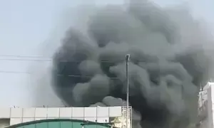 Over 30 cars gutted in fire in Noida