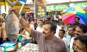 Will BJP’s Suresh Gopi be the dark horse in Kerala?