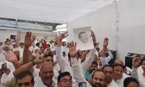 Cong headed for best ever show after 2014 elections, show early trends