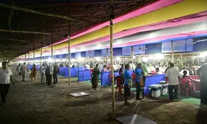 Odisha: Early trends suggest big gains for BJP in LS and Assembly polls