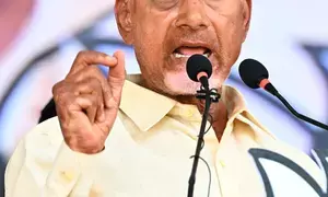 Victory celebrations break out in TDP camp