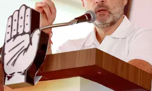 Rahul Gandhi leads with decisive margin from Raebareli, Sharma leads in Amethi