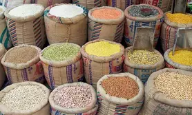 India’s foodgrain production rises by 211 lakh million tonnes in 2023-24