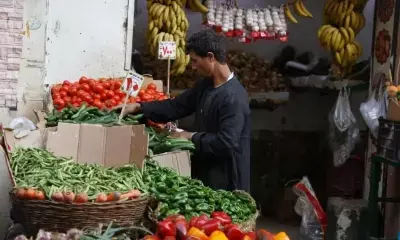 Fruit production rise, vegetables decline in 2023-24