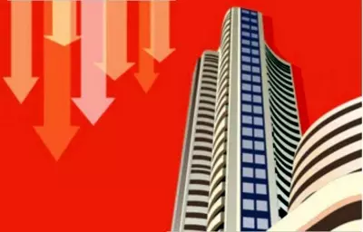 Sensex, Nifty in free fall as counting enters crucial phase Sensex, Nifty in free fall as counting enters crucial phase