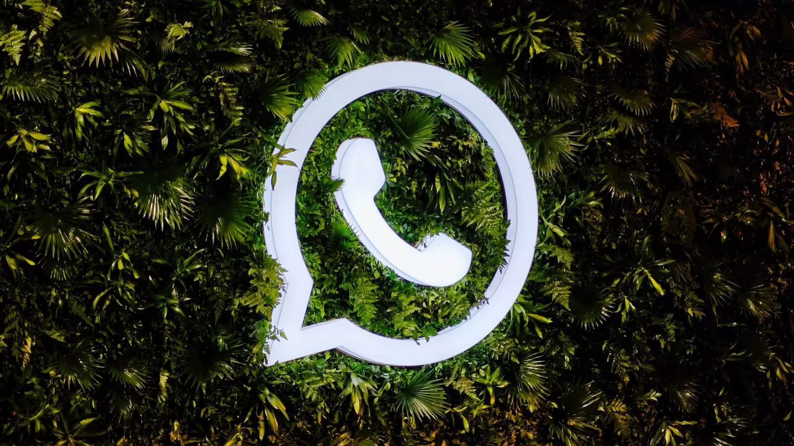 Meta Bans Over 7 Million WhatsApp Accounts in April 2024 Meta Bans Over 7 Million WhatsApp Accounts in April 2024