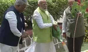 On World Environment Day, PM Modis Ek Ped Maa Ke Naam campaign