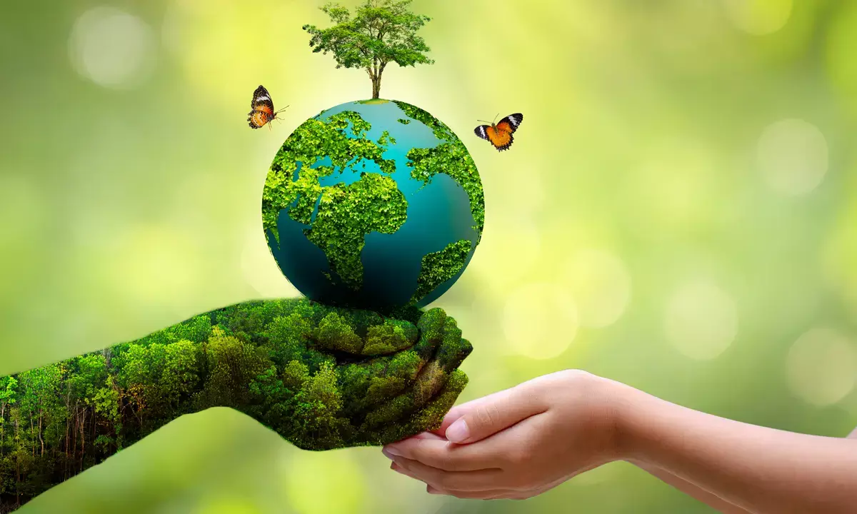 World Environment Day: A Global Call to Protect Our Planet