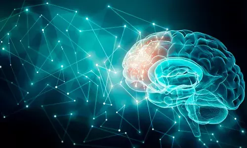 Brain-Boosting Superfoods to Keep Your Mind Sharp
