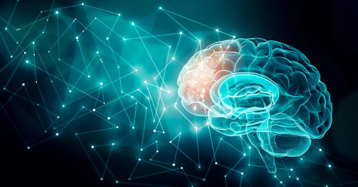 Brain-Boosting Superfoods to Keep Your Mind Sharp Brain-Boosting Superfoods to Keep Your Mind Sharp