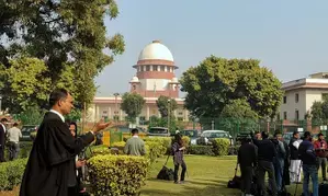 Cattle smuggling case: SC asks Delhi HC to expeditiously decide Sukanya Mondals bail plea
