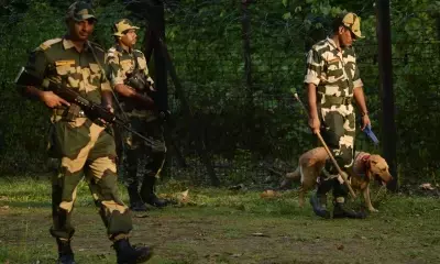 Bangladeshi smuggler killed in BSF firing along Tripura border