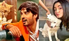 Kumkum Bhagya’ actors Abrar Qazi, Rachi Sharma find it therapeutic to spend time with strays
