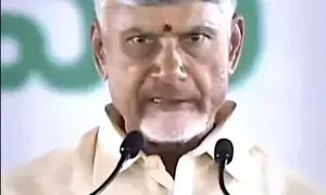 Andhra CM Chandrababu Naidu heaps praise on BJP, says party promotes hard work