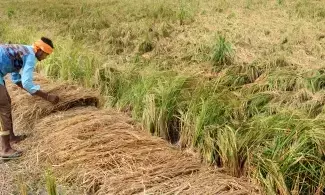 Yogi govt ramps up efforts to safeguard crops from impending monsoon  floods