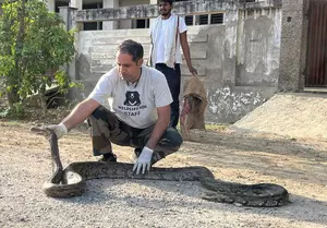 10-foot-long python rescued from residential society in Agra