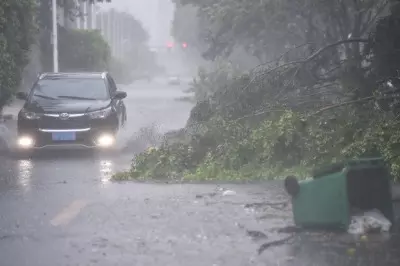 Railway service suspended amid persistent heavy rain in China