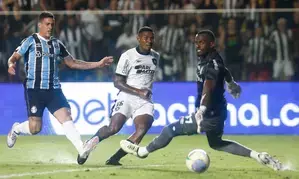 Serie A: Botafogo overcome Gremio to regain top spot