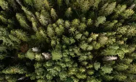 EU ministers approve contested Nature Restoration law