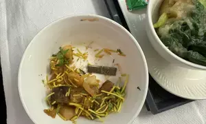 After Air India, its caterer apologises over sharp object found in passengers food (Ld)