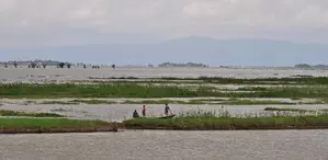 Massive quake changed course of Ganga River 2,500 years ago, can  occur again: Study