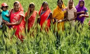 Explainer: Who are Krishi Sakhis set to be felicitated by PM Modi in Varanasi