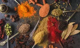 India’s spices exports hit record $4.46 billion in FY24, red chilli up by 15 pc