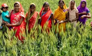 Explainer: Who are Krishi Sakhis set to be felicitated by PM Modi in Varanasi Explainer: Who are Krishi Sakhis set to be felicitated by PM Modi in Varanasi