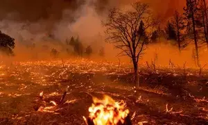 US: One dead as wildfires rage in New Mexico
