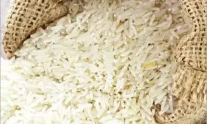 Punjab Vigilance Bureau seizes 1,138 bags of diverted rice meant for poor