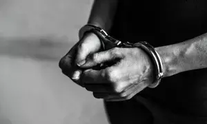 4 from Haryana held for smuggling camels in pick-up