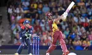 T20 World Cup: Hope, Chase dominate USA to set nine-wicket victory for WI