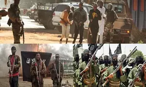 Africa plagued by old and new spectres of Islamist terror spanning the continent