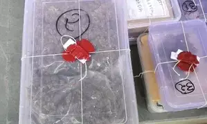 Ahmedabad cops seize drugs valued at Rs 3.5 cr concealed in parcels