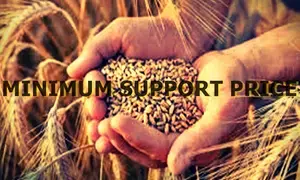 Meagre MSP may aggravate agrarian crisis in Maha, cautions farm leader